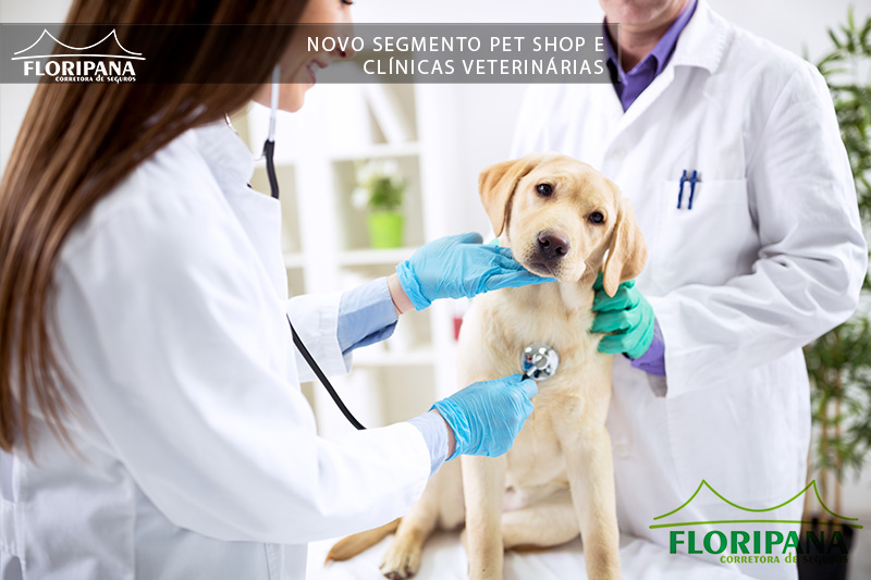 Novo segmento pet shop e clínicas veterinárias